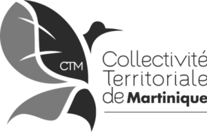 Logo 1 - Collectivité territoriale de la Martinique