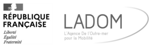 logo 3 -LADOM